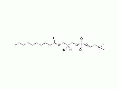 1-decanoyl-2-hydroxy-sn-glycero-3-phosphocholine