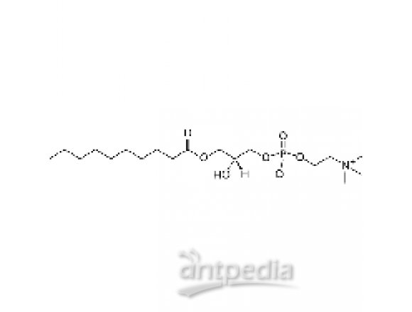 1-decanoyl-2-hydroxy-sn-glycero-3-phosphocholine