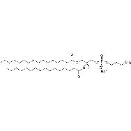 <em>1,2-dipalmitoyl-sn-glycero-3-phosphobutanol</em> (<em>sodium</em> <em>salt</em>)