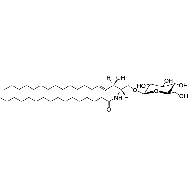 D-<em>glucosyl</em>-ß-1,1' N-palmitoyl-D-erythro-<em>sphingosine</em>
