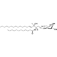 <em>D</em>-galactosyl-β-1,1' N-lauroyl-<em>D-erythro-sphingosine</em>