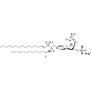 3,6-<em>di</em>-O-sulfo-D-galactosyl-ß1-1'-N-lauroyl-D-erythro-sphingosine (<em>ammonium</em> salt)