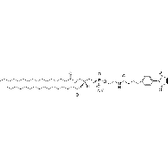 <em>1,2-dipalmitoyl-sn-glycero-3-phosphoethanolamine-N</em>-[<em>4</em>-(<em>p-maleimidophenyl</em>)<em>butyramide</em>] (<em>sodium</em> <em>salt</em>)