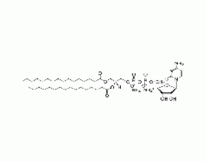 1,2-dipalmitoyl-sn-glycero-3-(cytidine diphosphate) (ammonium salt)