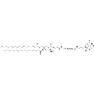 磷脂酰乙醇胺-聚乙二醇2000-生物素