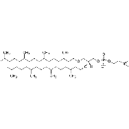 <em>1,2-di-O-phytanyl-sn-glycero-3-phosphocholine</em>