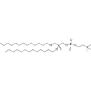 1,2-di-O-<em>tridecyl</em>-sn-glycero-3-phosphocholine