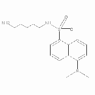 Dansylcadaverine [<em>N</em>-(<em>5-Aminopentyl</em>)-<em>5-dimethylaminonaphthalen-1</em>-sulfonamide]