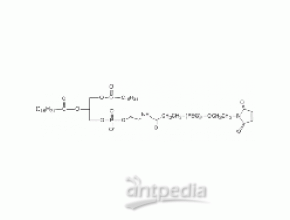 L-磷脂酰乙醇胺 PEG 马来酰亚胺, DPPE-PEG-Mal