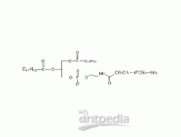 二硬脂酰基磷脂酰乙醇胺 PEG 胺, DSPE-PEG-NH2