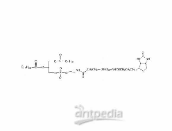 二硬脂酰磷脂酰乙酰胺-聚乙二醇-生物素