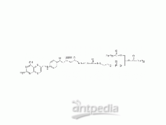 二硬脂酰基磷脂酰乙醇胺 PEG 叶酸, FA-PEG-DSPE
