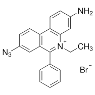 EMA  [Ethidium <em>monoazide</em> bromide]