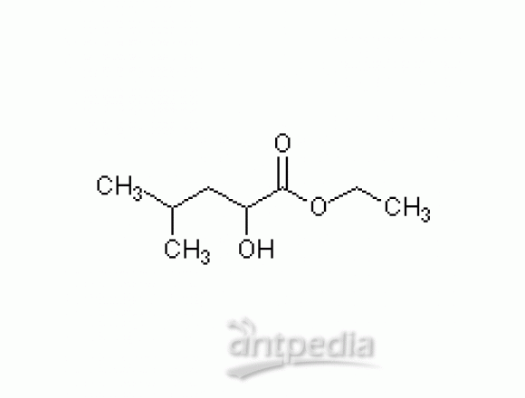DL-白氨酸乙酯