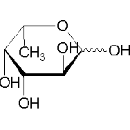 L-岩藻糖