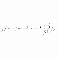 Fluorescein biotin  [5-((N-(5-(N-(6-(biotinoyl)<em>amino</em>)hexanoyl)<em>amino</em>)pentyl)thioureidyl)fluorescein]