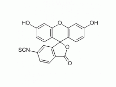 荧光素-6-异硫氰酸酯 (同分异构体II)