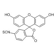 荧光素-6-异硫氰酸酯，同分异构体II（含<em>少量</em>丙酮）