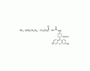 Fluorescein PEG Amine, FITC-PEG-NH2