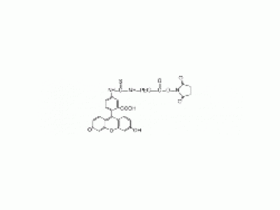 荧光素 PEG N-羟基琥珀酰亚胺, FITC-PEG-NHS