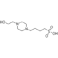 N-(2-羟乙基)哌嗪-N'-4-丁磺酸(<em>HEPBS</em>)