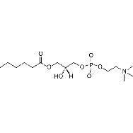 1-hexanoyl-2-hydroxy-sn-glycero-3-<em>phosphocholine</em>