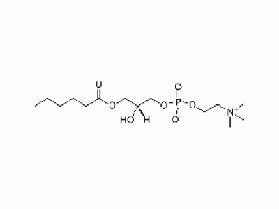 1-hexanoyl-2-hydroxy-sn-glycero-3-phosphocholine