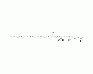 1-十七碳酰-甘油-3-磷酰胆碱