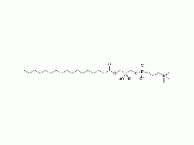 1-十七碳酰-甘油-3-磷酰胆碱