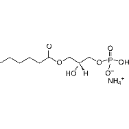 <em>1-hexanoyl-2-hydroxy-sn-glycero-3</em>-phosphate (<em>ammonium</em> <em>salt</em>)