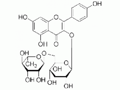 莰菲醇-3-O-芸香糖苷
