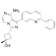 OSI-906 (<em>Linsitinib</em>)