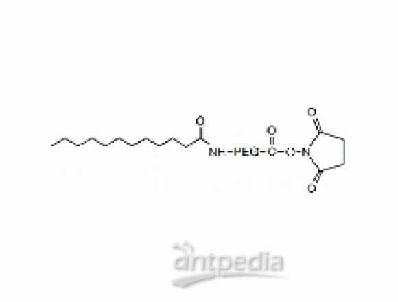 月桂酸 PEG N-羟基琥珀酰亚胺