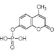 4-甲基伞形酮酰<em>磷酸酯</em>