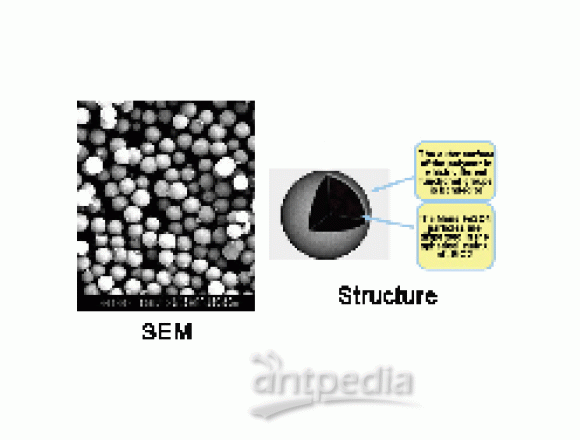 SLE 包埋式二氧化硅磁性微球