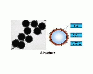 SLC 核壳式二氧化硅磁性微球