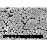 单分散氨基<em>二氧化</em>硅微球