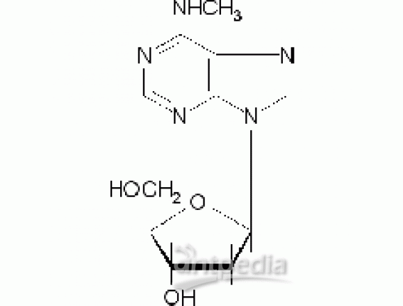 N6-甲基-2'-脱氧腺苷