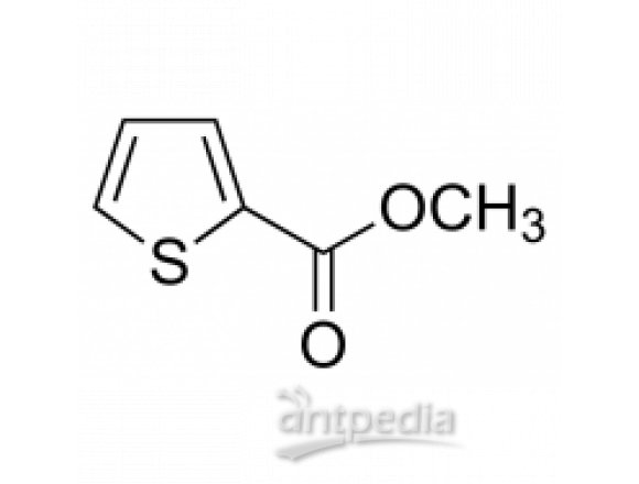 2-噻吩甲酸甲酯