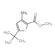 methyl 3-amino-5-tert-<em>butylthiophene-2</em>-carboxylate