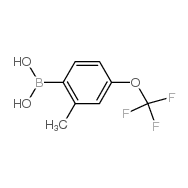 2-<em>Methyl-4</em>-trifluoromethoxyphenylboronic acid