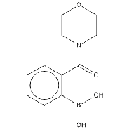 2-(<em>Morpholine-4-carbonyl</em>)phenylboronic acid