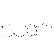 6-(Morpholinomethyl)<em>pyridin-3-ylboronic</em> <em>acid</em>