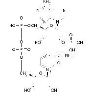 β-烟酰胺<em>腺</em><em>嘌呤</em>二<em>核苷</em>酸磷酸(NADP)水合物
