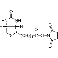D-<em>生物素</em> N-羟基琥珀酰亚胺酯