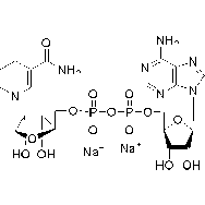 <em>还原</em>型辅酶I 二钠(β-NADH)