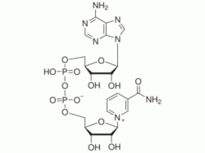 β-烟酰胺腺嘌呤二核苷酸(NAD)