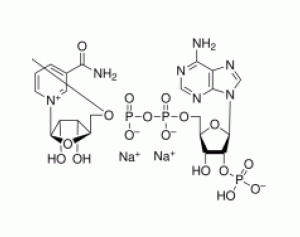 氧化型辅酶II 二钠(β-NADP-Na2)