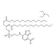NBD-PE  [N-(<em>7-Nitrobenz</em>-2-oxa-1,3-diazol-4-yl)-1,2-dihexadecanoyl-
sn-glycero-3-phosphoethanolamine, triethylammonium salt]