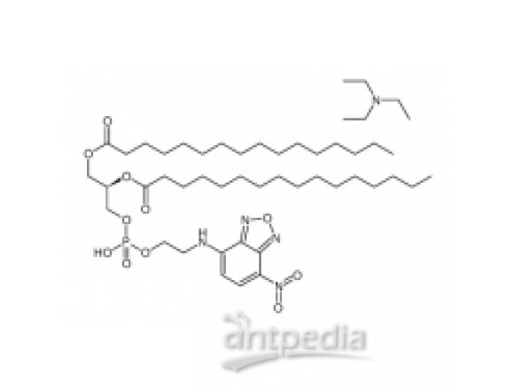 NBD-PE  [N-(7-Nitrobenz-2-oxa-1,3-diazol-4-yl)-1,2-dihexadecanoyl-
sn-glycero-3-phosphoethanolamine, triethylammonium salt]